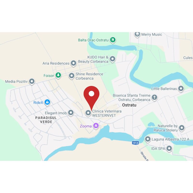 Corbeanca - Ostratu - Intr. Gagului, teren pretabil investitie, comision 0%